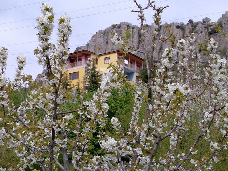 Aladag Dag Otel Εξωτερικό φωτογραφία